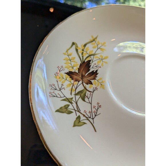 Taylor Smith & T Leaf O'Gold Vtg Footed Cup & Saucer set of 2 Yellow MapleLeaf - Picture 5 of 15